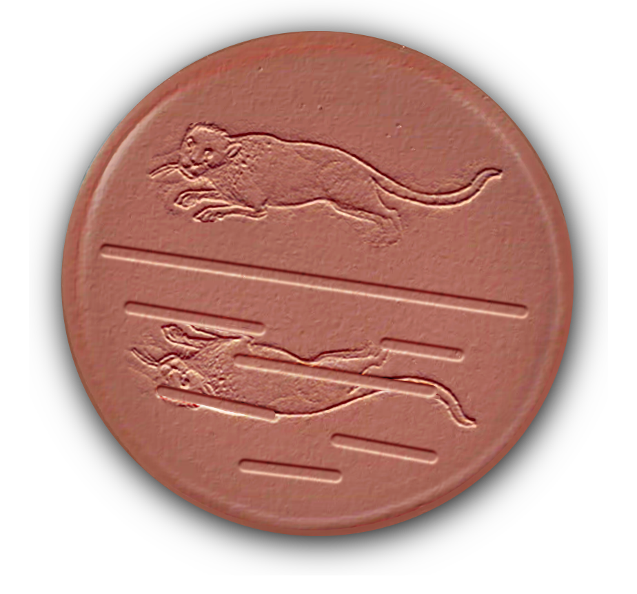 visual representation of the coin